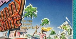Sunny Shine on the Funny Side of Life - Video Game