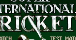Super International Cricket - Video Game