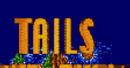 Tails Adventure テイルスアドベンチャー - Video Game