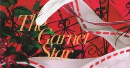 The Garnet Star - Video Game
