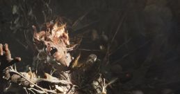 The Last of Us [Single] - Video Game