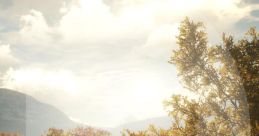 TheHunter: Call of the Wild - Video Game