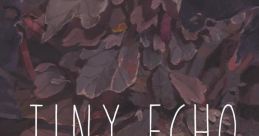 Tiny Echo - Video Game