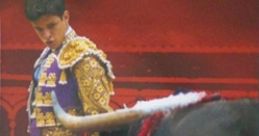 Torero: Arte y Pasion en la Arena - Video Game