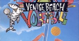 Venice Beach Volleyball (Unlicensed) - Video Game
