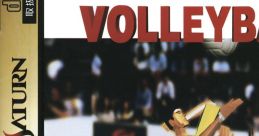 Virtual Volleyball バーチャル バレーボール - Video Game