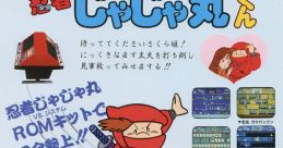 VS Ninja JaJaMaru-kun (VS System) 忍者じゃじゃ丸くん - Video Game
