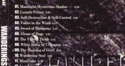 WANDERINGS II - Video Game