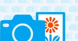 Wii Digicam Print Channel - Video Game