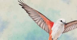 Wingspan - Video Game