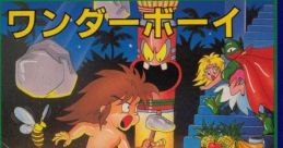 Wonder Boy (SG-1000) Revenge of Drancon ワンダーボーイ - Video Game