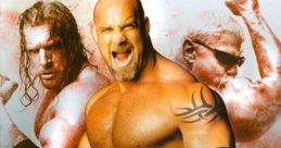 WWE Raw 2 - Video Game