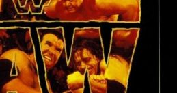 WWF Raw - Video Game