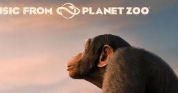 You, Me & Other Habitats: More from Planet Zoo (Original Game track) - Video Game