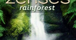 Zenses: Rainforest - Video Game