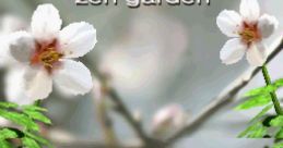 Zenses: Zen Garden - Video Game