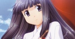 Maimiko Moe Original track 妹巫女・萌 オリジナルサウンドトラック - Video Game