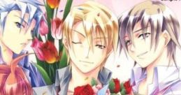 Otometeki Koi Kakumei Love Revo!! DS 乙女的恋革命★ラブレボ!!DS - Video Game