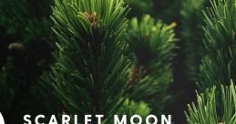 Scarlet Moon Christmas VOL.1-4 - Video Game