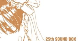 STREET FIGHTER 25th BOX ストリートファイター25周年 サウンドBOX - Video Game