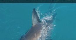 Skacham shark