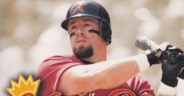 Home Run King - Video Game