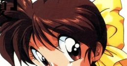 KAKI-IN 1993 SUMMER KAKI-IN 1993・夏 - Video Game