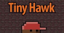 Tiny Hawk - Video Game