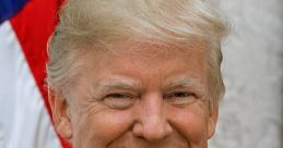 Donald Trump High Quality