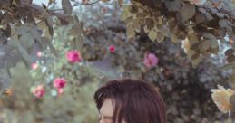 Xiaomeng