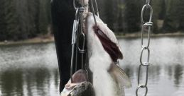 Troutstrangler