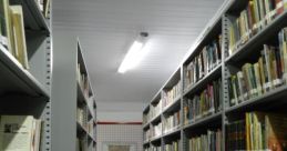 Biblioteca