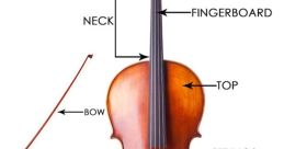 Cello