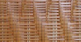 Bamboo