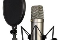 Mic