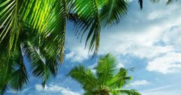 Tropical