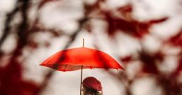 Umbrella