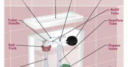 Flush-Toilet
