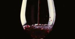 Wein