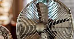Fan