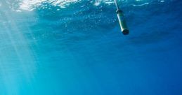 Hydrophone