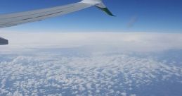 Flight