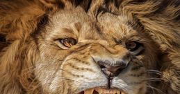 Roar