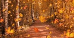Autumn