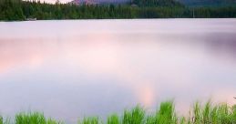 Peaceful