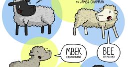 Sheep