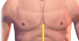 Stomach You can hear a variety of stomach in this compilation, ranging from loud burps to low grumbles. The arrotos and