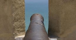 Cannon