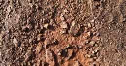 Mud