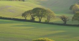 Farmland